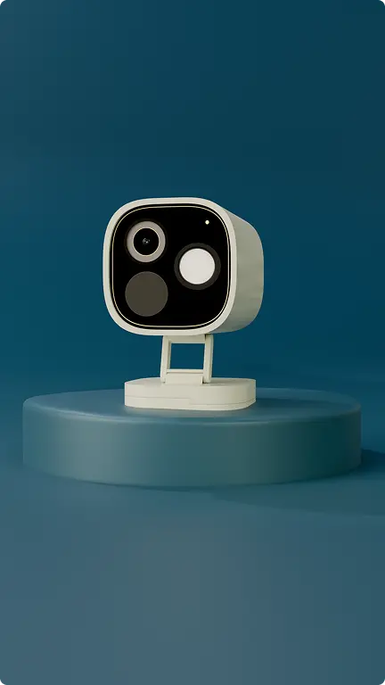 Radiator Outdoor Camera