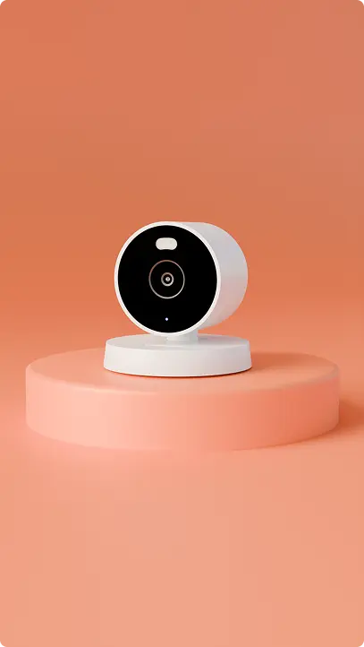 Outdoor & Indoor Camera